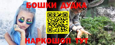 молекула духа Северобайкальск