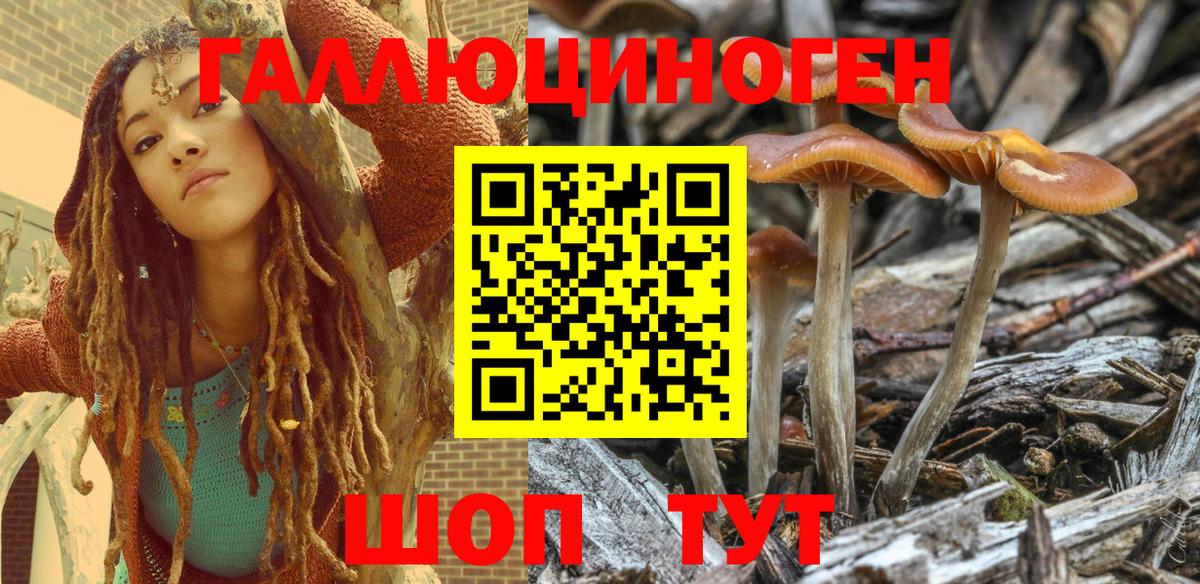 Псилоцибиновые грибы Magic Shrooms Богданович
