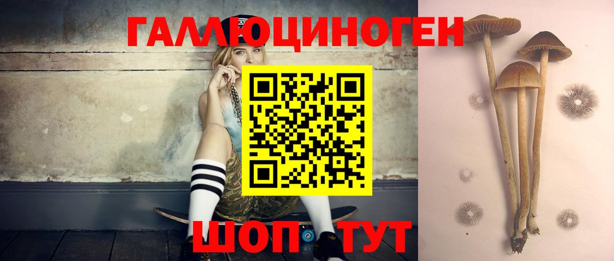 Богданович  Галлюциногенные грибы мухоморы  Вход с VPN  Галлюциногенные грибы прущие грибы 